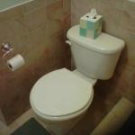 WAINSCOTTING TILE AROUND TOILET