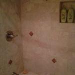 RAISED DELTA VALVE IN BRUSHED NICKEL AND ACCENT MOSAICS