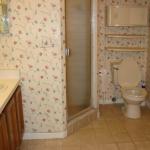BEFORE REMODEL -OLD SHOWER