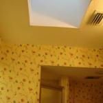 CEILING BEFORE SOFFITS REMOVED